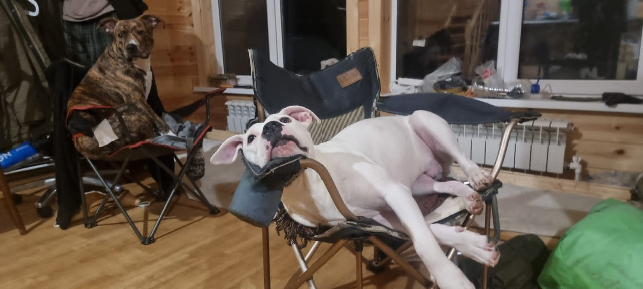 DEB280B6-BF6E-42E6-A0D4-1015032430F5