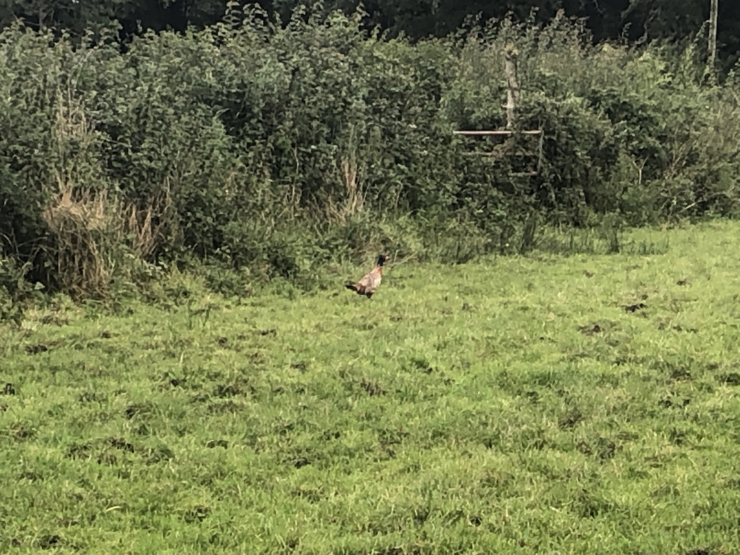 83D30A3A-D1F9-4ADC-AADA-4DC1217B1E10