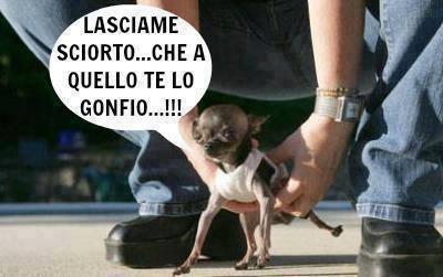 immagini-e-foto-divertenti-3