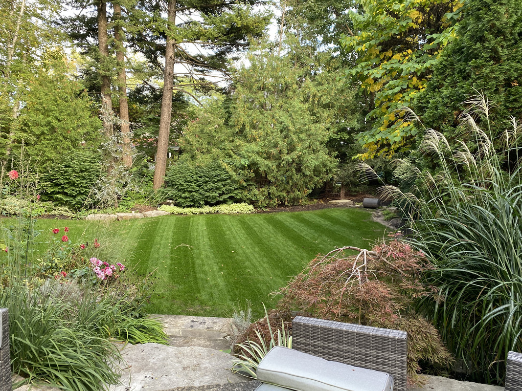 BCBB6554-4D39-4EC8-9217-3817D4617187