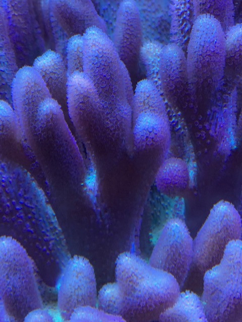 BA47635F-3943-400C-9DCD-622966EDE069