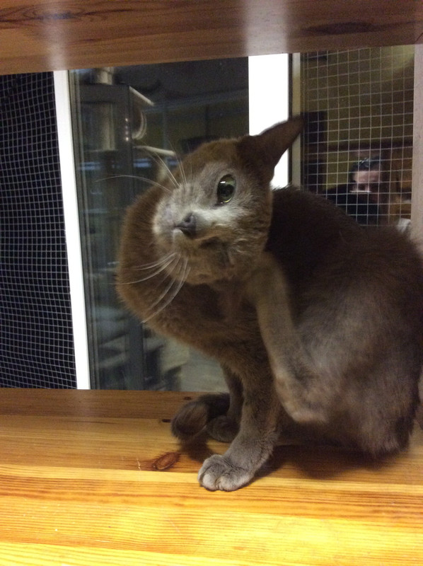 483A258C-2AAC-481B-A3D2-6BE59A2514C9