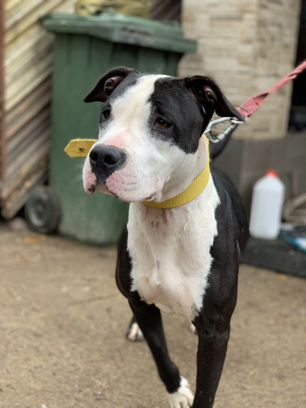 D7C9C450-758E-46C1-9409-8D3D46D9C56D