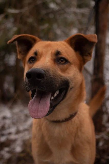 277332928_668963284223768_2405467626898899784_n