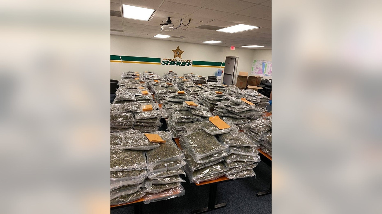 Sheriff de Florida ‘busca devolver’ 2 mdd en marihuana al propietario legítimo