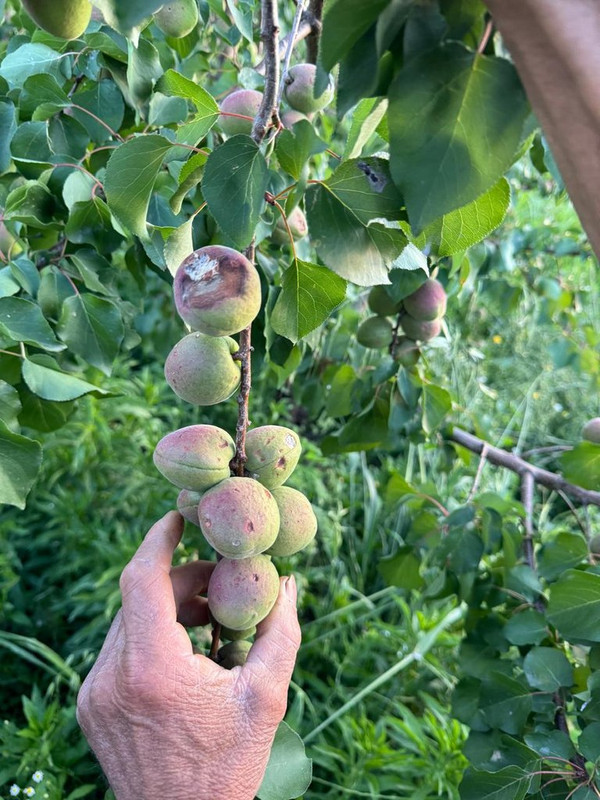 Φωτογραφία21