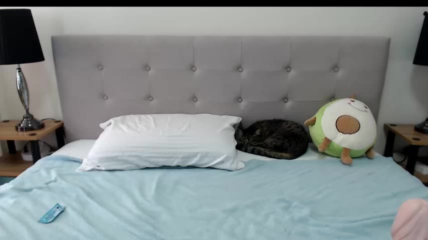 purelycarnal chaturbate Apr 15 2021 03-31-36