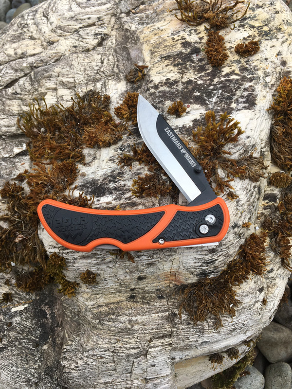 6B025B38-8D04-40CA-8C71-9D1AF058B6AA