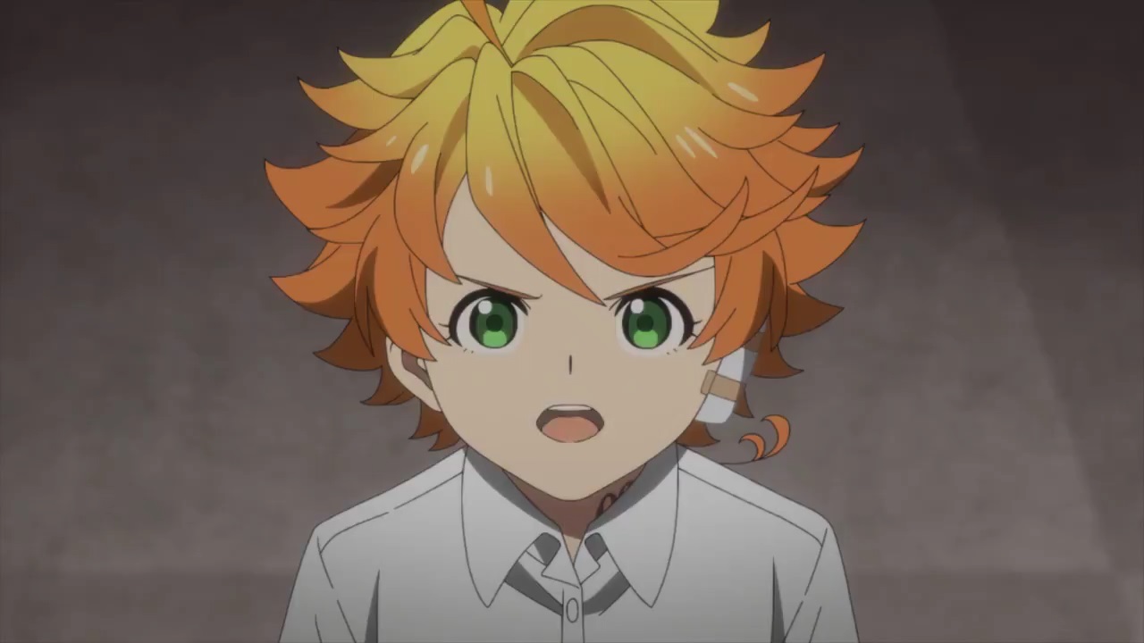 TPN2