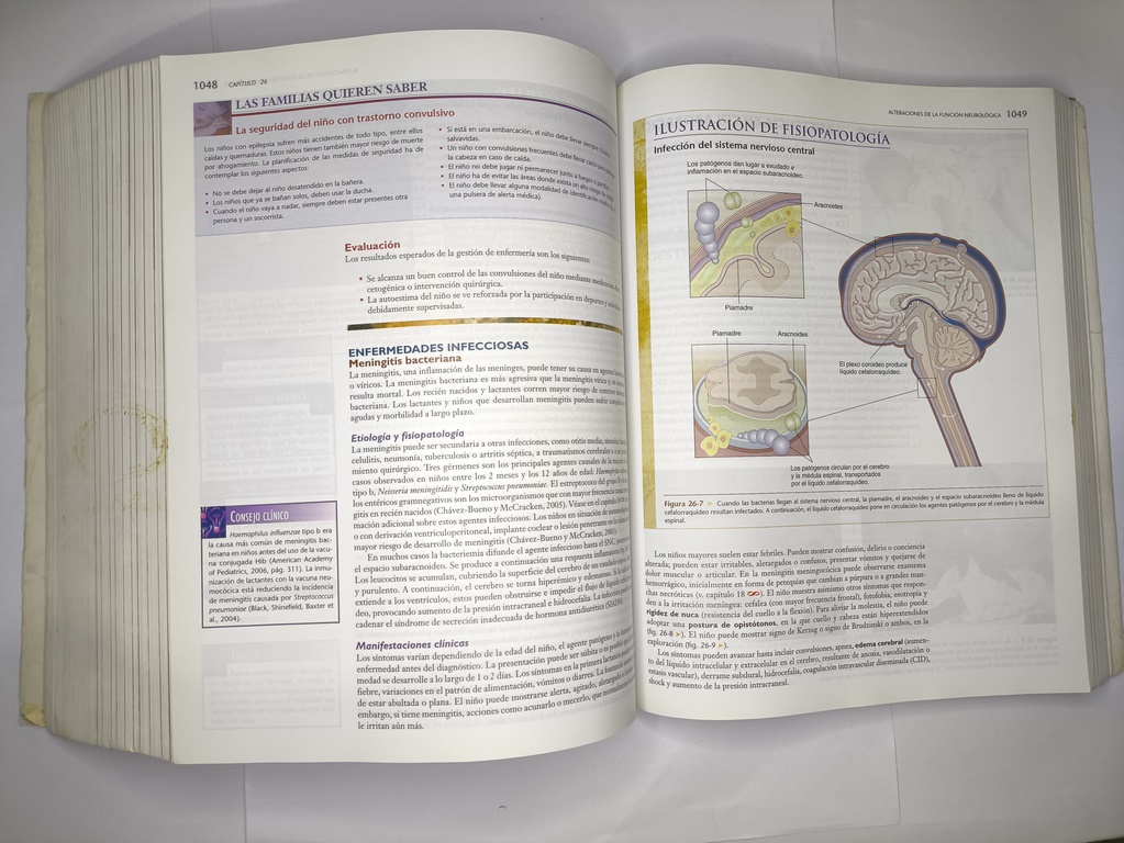 IMG 20251021 151632 Copiar