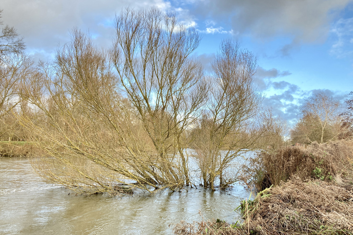 62762262-84E1-4D53-B6E5-CF475B1EC6C4