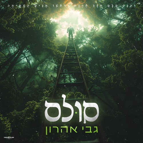 תמונה