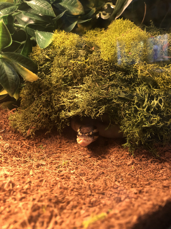 553CB54D-7D12-4FB0-BE2C-FCC3B91BCA1A