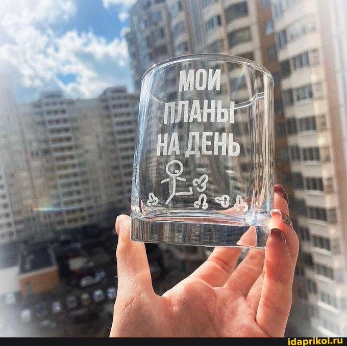 планы на день