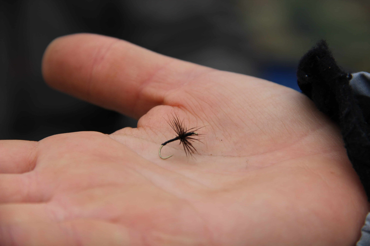 тенкара 2013 272