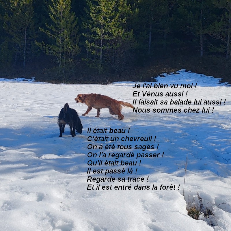 IMG-20260222-113933bb