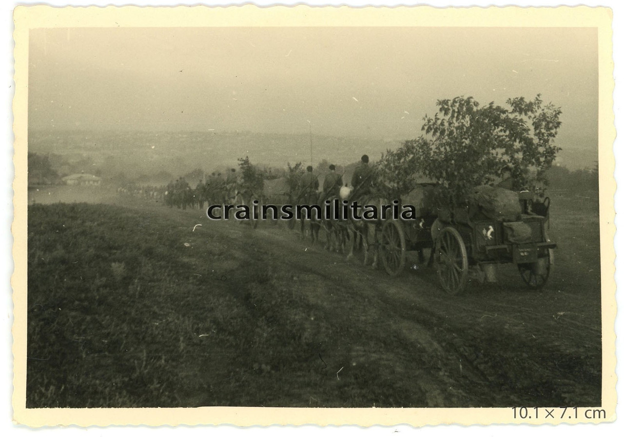 Orig Foto Wagen mit 125 ID Wappen beim Marsch auf ROSTOW AM DON Russland 1942