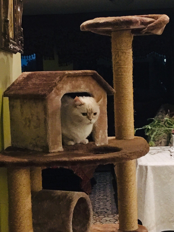 B9B3E6F7-C5AA-408F-9388-90CC1DF1F9E7