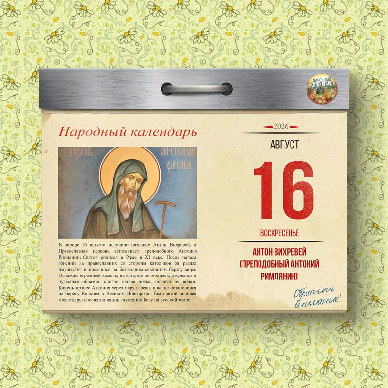 [Изображение: photo-2026-08-16-04-36-31.jpg]
