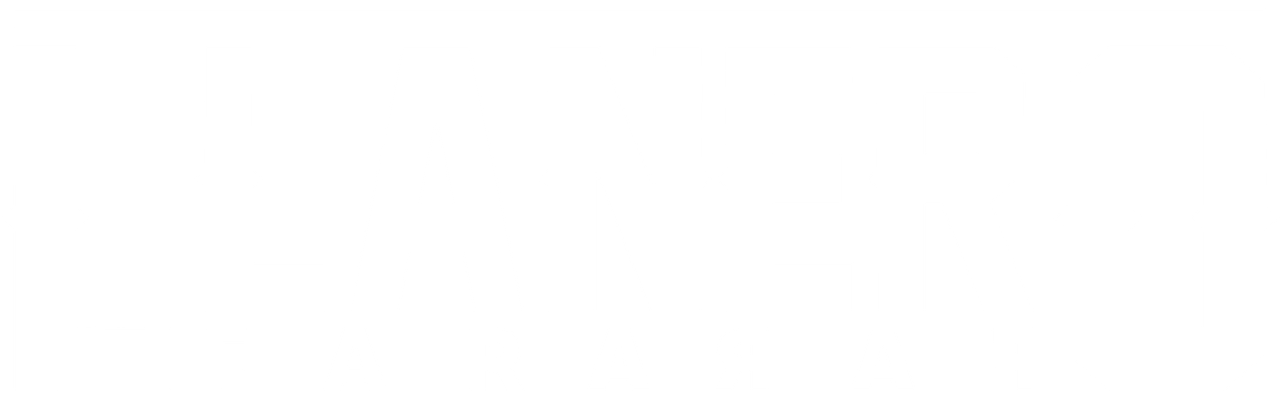 Logo Llanero