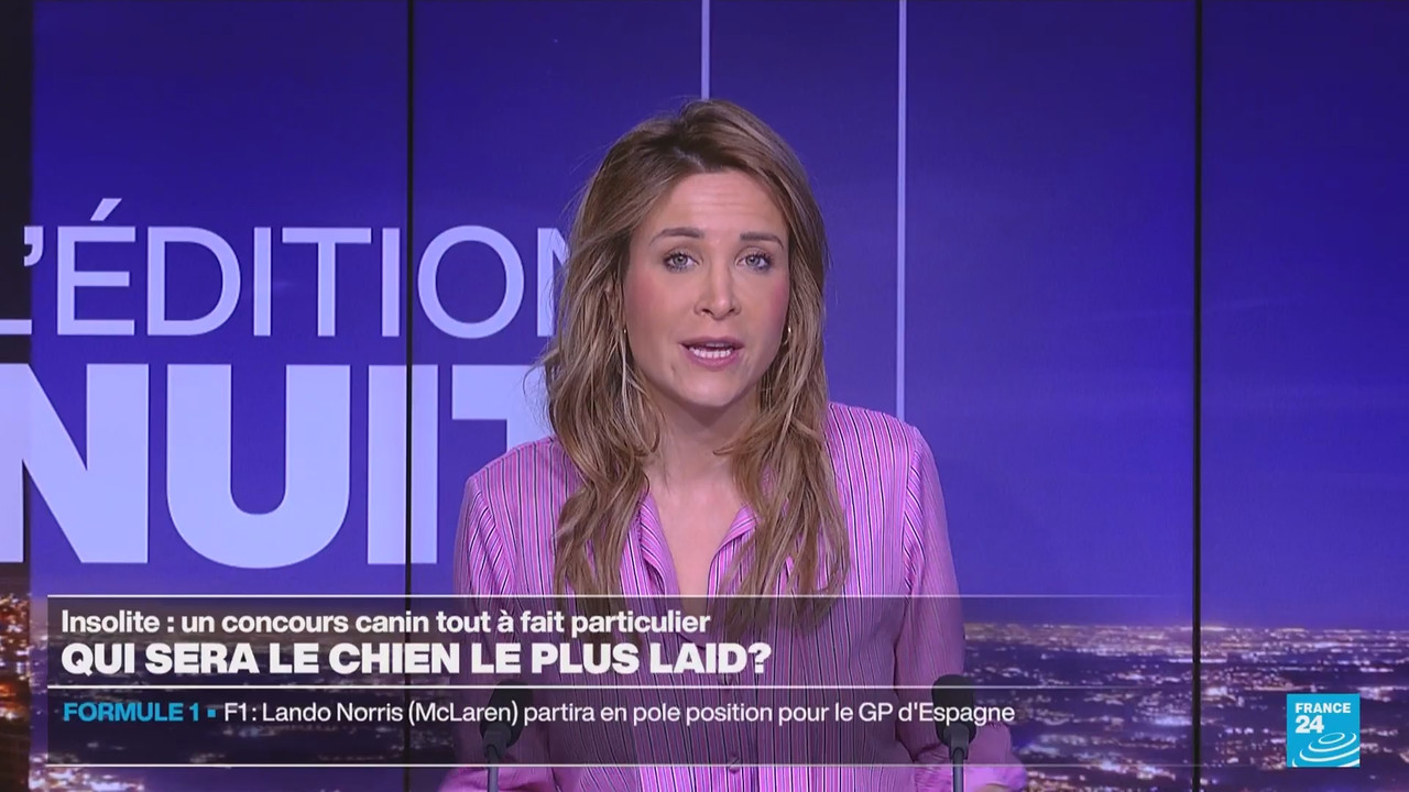 Le journal France 24 (FR) (France 24)_2024_06_23_03_55_16.ts_snapshot_18.06.433