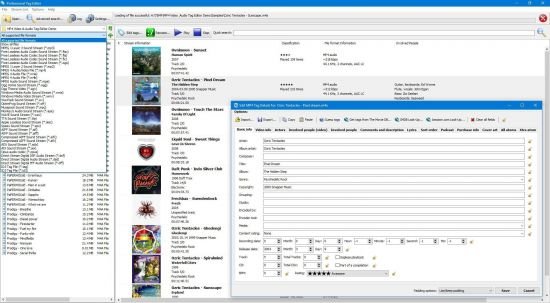 3delite Professional Tag Editor 1.0.22.32 Portable