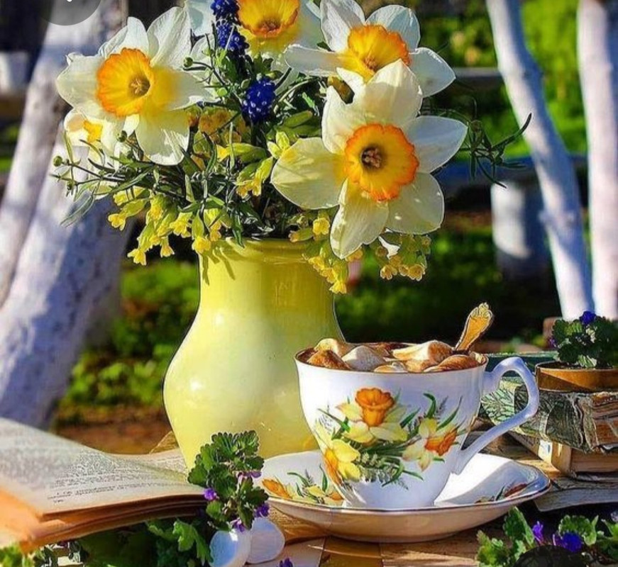 Screenshot_20230309_235000_Pinterest