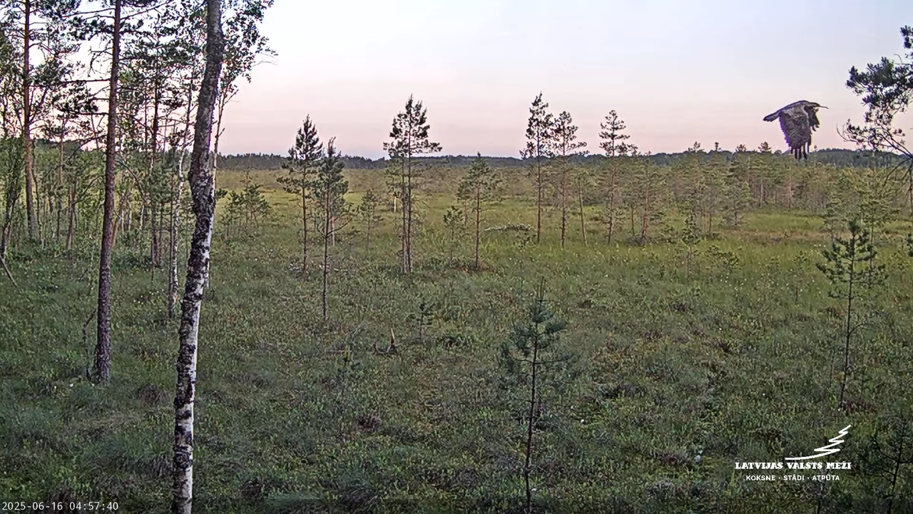 LVM Purvs - Bog 5-18-30 screenshot (2)