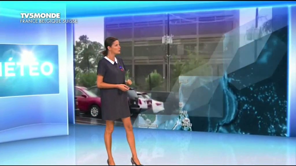 Sandrine Scourneau 290817.mp4_snapshot_02.15_[20