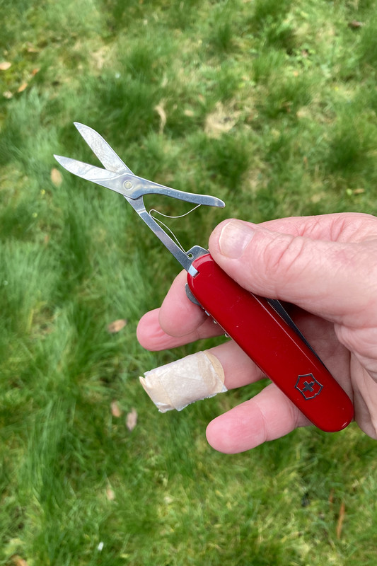 E89FE8BB-6FD8-4098-81F5-59A10D0819EA