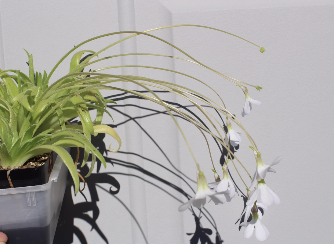 1C9FFDDD-891B-4A8A-A033-C4FB1F5833B1