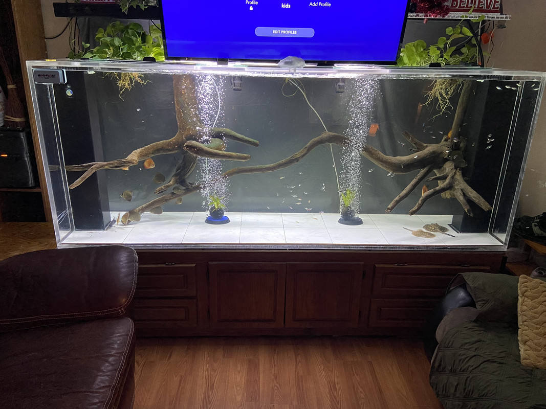 4E3C6B06-7FC7-4F26-81FE-96D56CCEFCA1