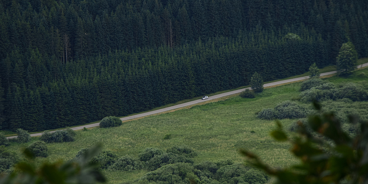 35 - Perpétuellement émerveillé