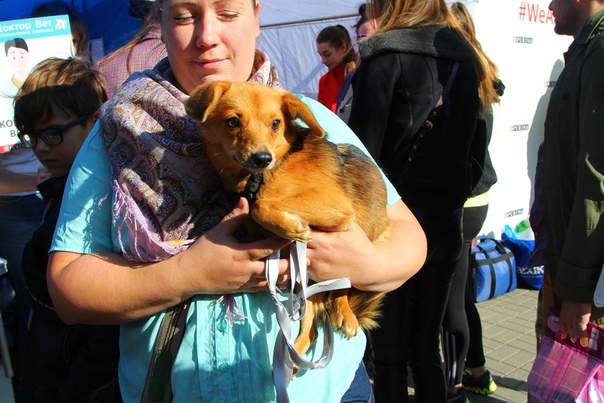 842D5DAA-E702-4748-BD65-09FD22FE5B9F