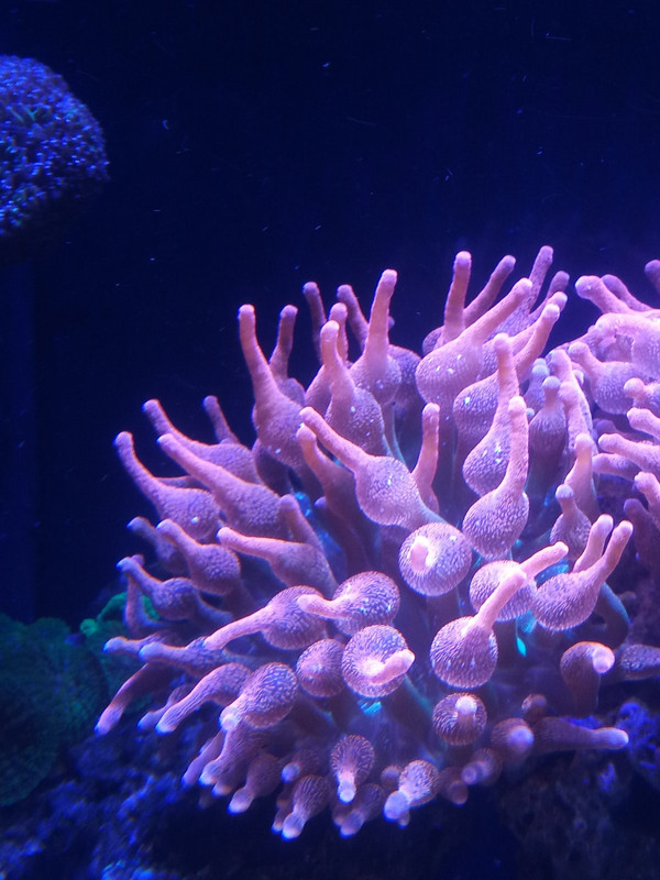 изображение_viber_2021-10-24_15-32-42-977