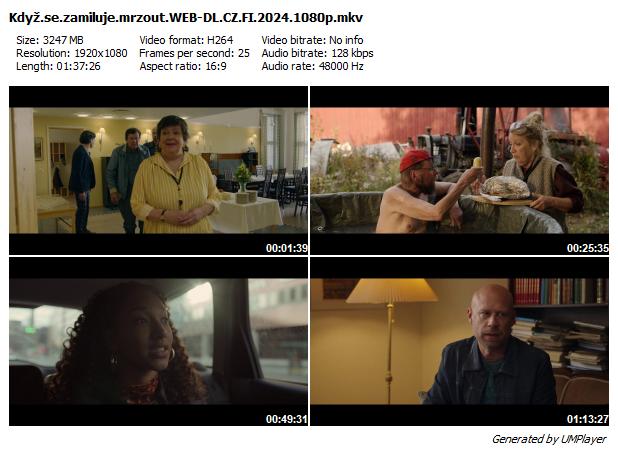 Když se zamiluje mrzout / Mielensäpahoittajan...(2024)