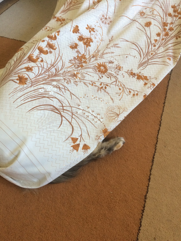 AB26E762-ED20-484A-A712-73C94977857C