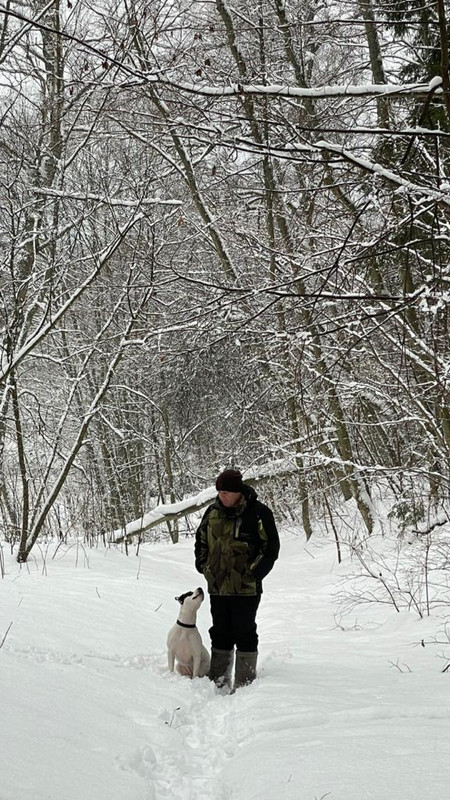 3811AB23-5905-4C03-AE5B-BE3A4D0CAE9C