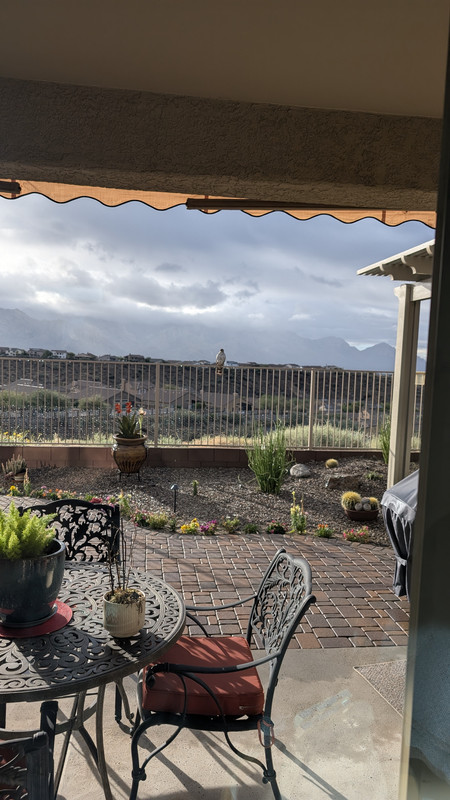 PXL 20251123 154218528