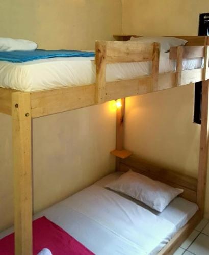 DoDo Backpacker Hostel Borobudur