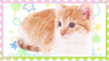 made by @transmascgarfield on tumblr
