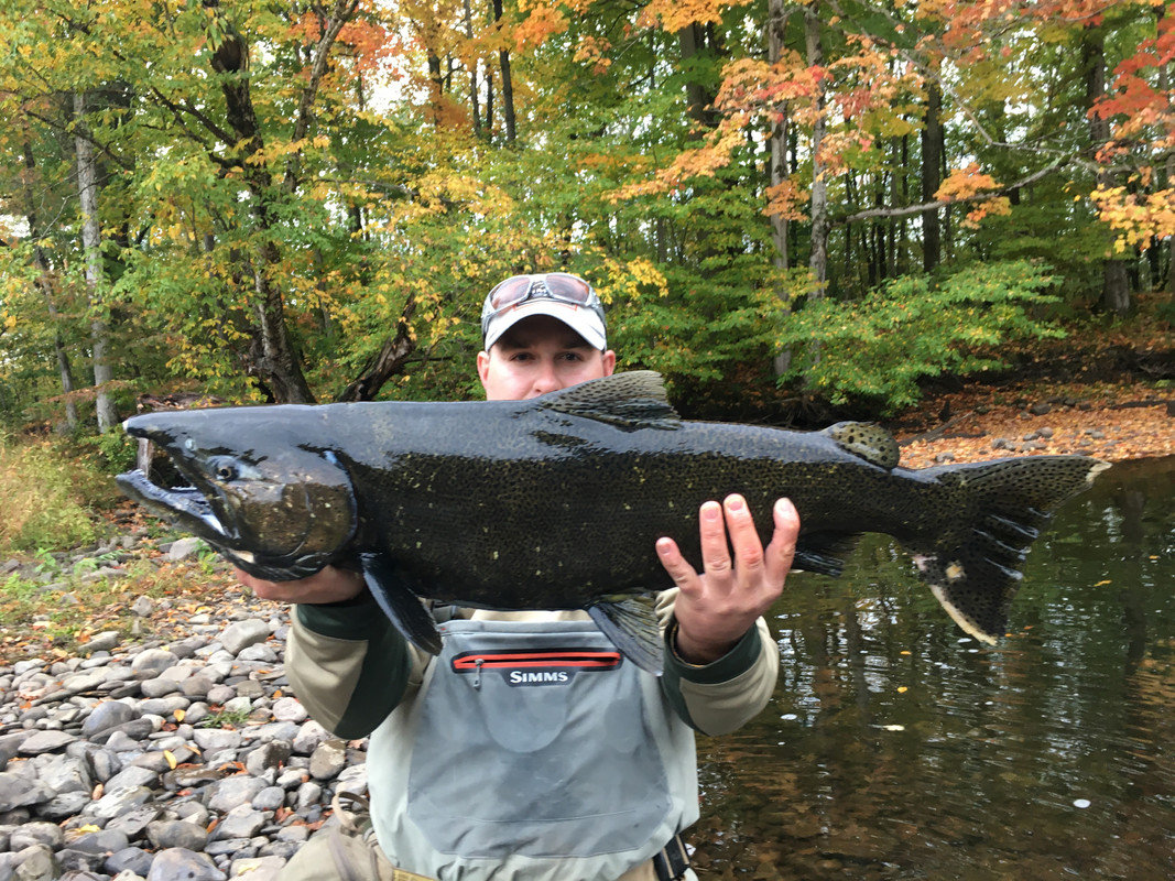 8EF74781-839A-461F-AF1B-E638A9B8E84E