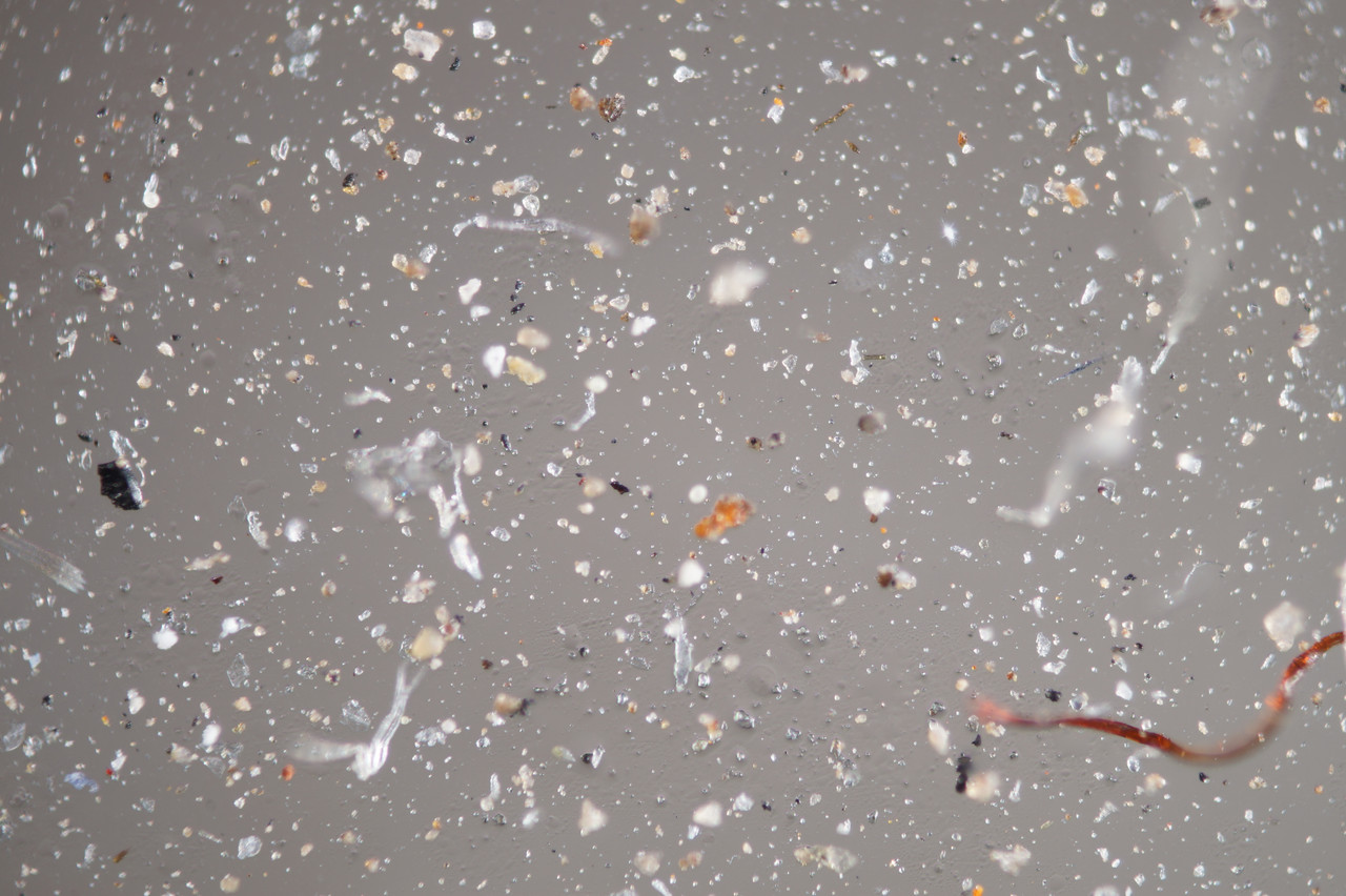 DSC06483