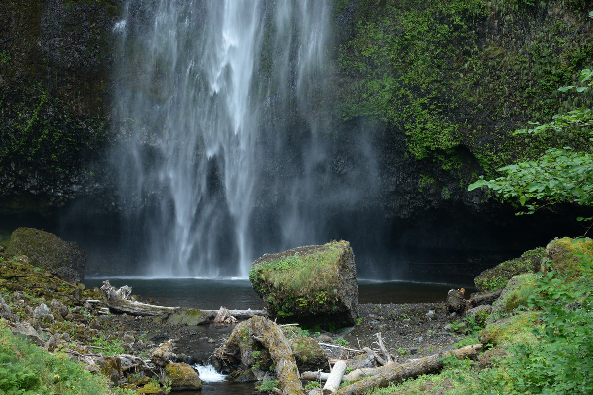 Árboles gigantes, fuegos y volcanes extintos - Oregon y California norte (2018) - Blogs de USA - Centro, Columbia River Gorge y Mount Hood (14)