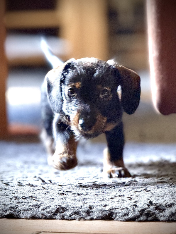 [Image: IMG-1557.jpg]