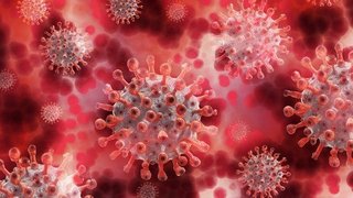 Datascience COVID-19 Pneumonia Classification (Deep learning) Datascience COVID-19 Pneumonia Classification (Deep learning)