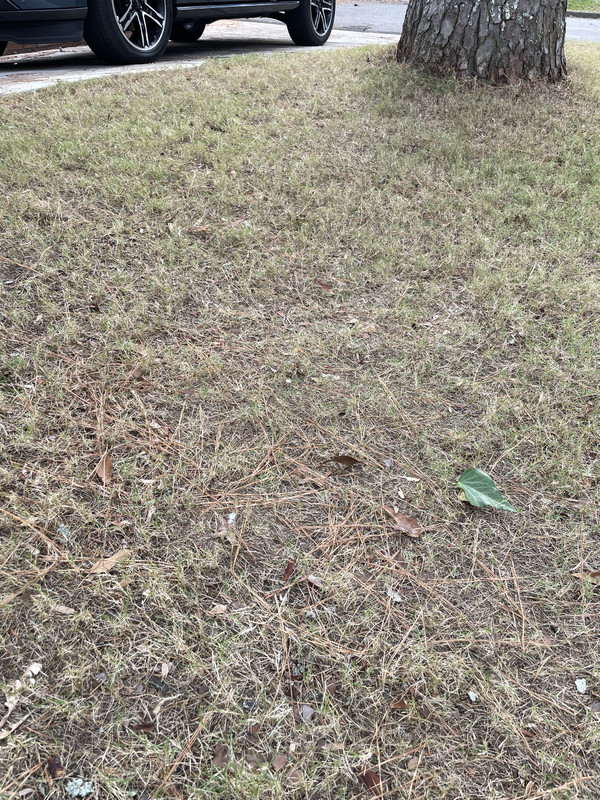 28C131D1-3E69-4081-912E-700C0316E79D