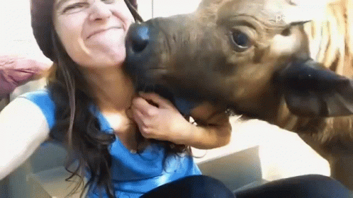 kissing-kiss-me.gif