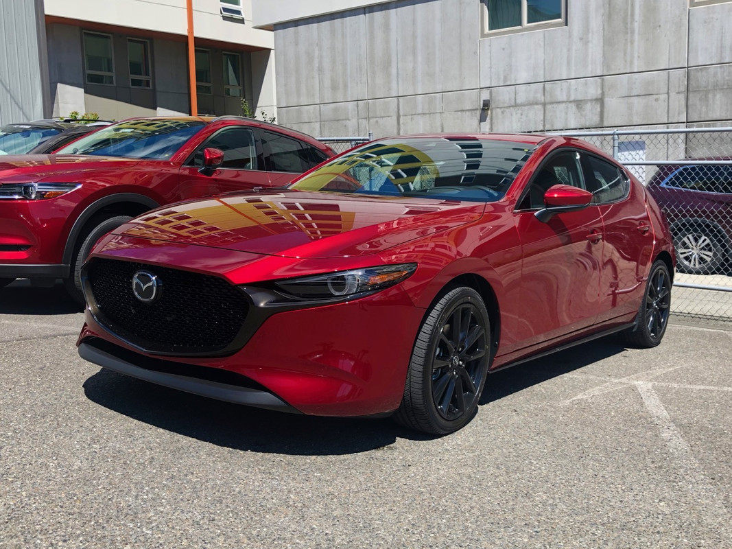 IMG_5579.jpg.fc1cb7d594293bd69277a5b3b9331e50