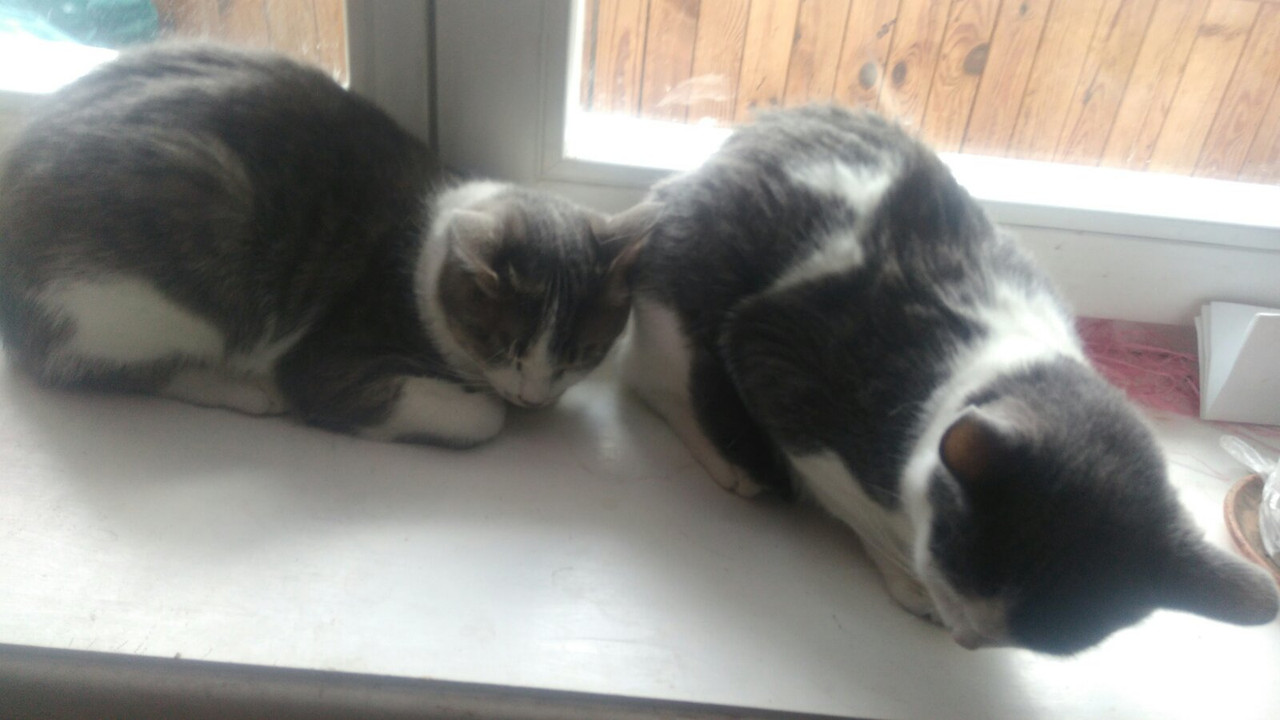 A1473393-FCF7-43F1-BBE5-DE9F3E076102